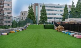 青岛幼儿园爆料事件最新,惊人内幕揭露幼儿教育乱象